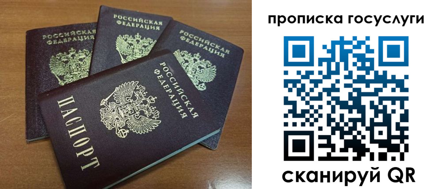 прописка 2025 в Шадринске